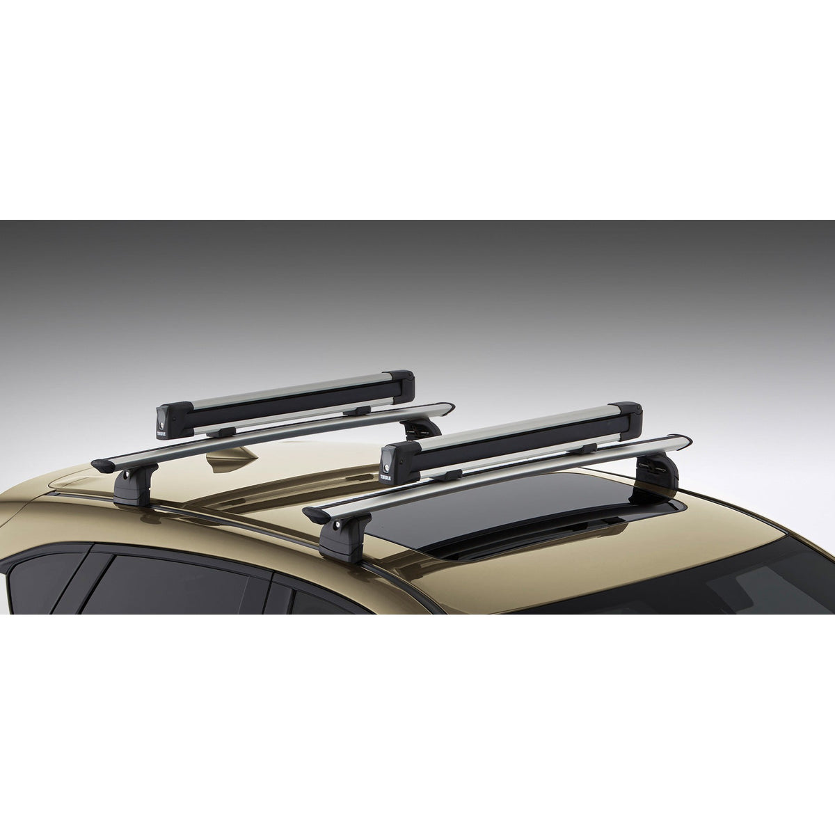 Roof Rack Accessory: Ski/Snowboard Carrier